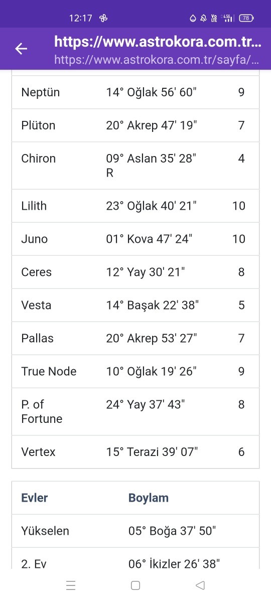 Yıldız haritanıza bakayım mı?