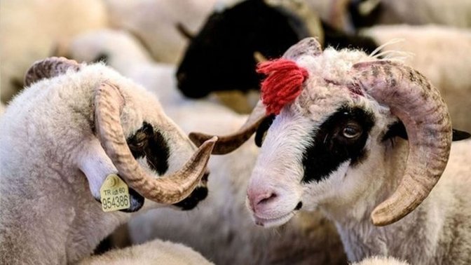 Kurban ibadetinin mahiyeti ve hükmü nedir?
