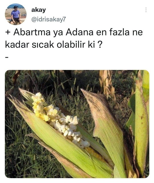 Yaz sıcakları sizi de bunaltmadı mı?
