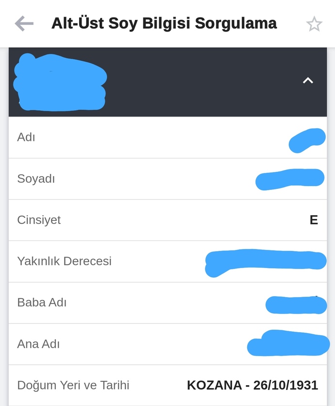Etnik kökeninizi açıkça söyleyebilir misiniz?
