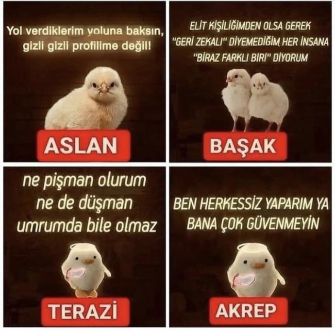 Burcuna göre senin civciv ne demiş 😃🐥?
