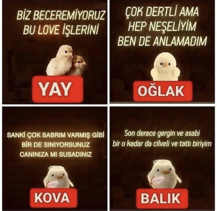 Burcuna göre senin civciv ne demiş 😃🐥?