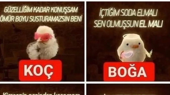 Burcuna göre senin civciv ne demiş 😃🐥?