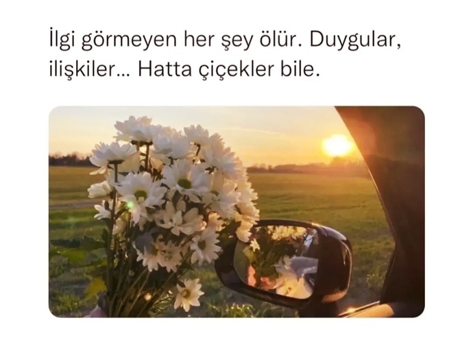 Sizcede sevgileri ilgi arttırır, ilgisizlik azaltır mı?