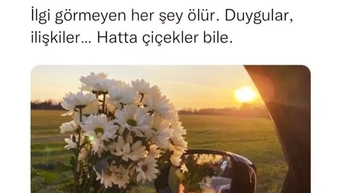 Sizcede sevgileri ilgi arttırır, ilgisizlik azaltır mı?