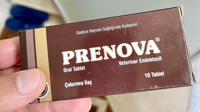 Caddede uyuz köpekler görseniz, tedavisine başlar mısınız, yoksa bana ne mi dersiniz?
