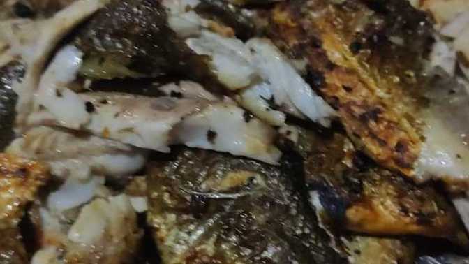 Balık eti sever misiniz?