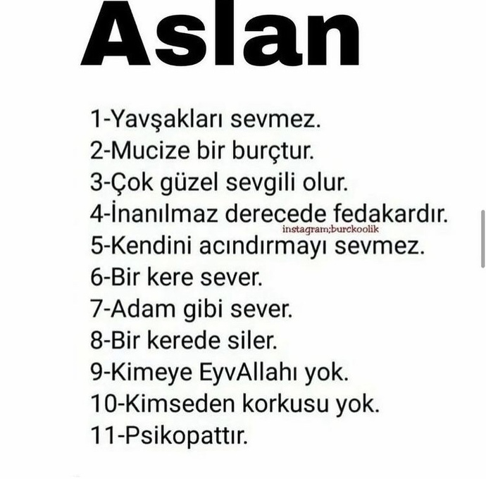 Aslan burcunu sever misiniz? Tanıdıklarınızı etiketleyin.
