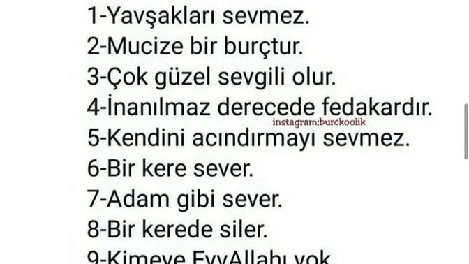Aslan burcunu sever misiniz? Tanıdıklarınızı etiketleyin.