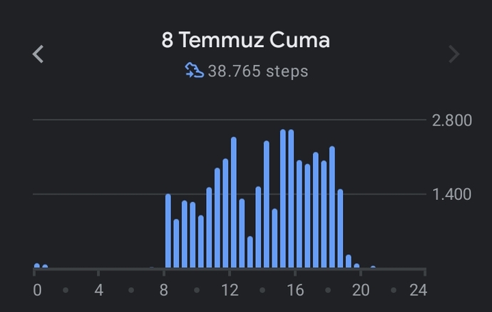 Bir gün içerisinde en fazla kaç adım attınız?