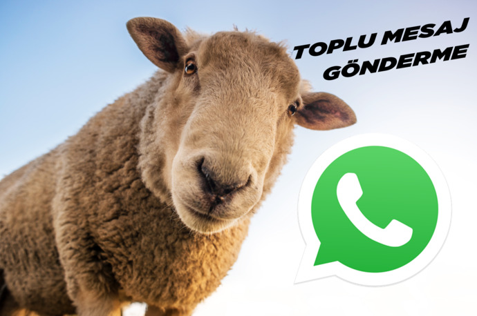Toplu bayram mesajına cevap vermemek kabalık mıdır?