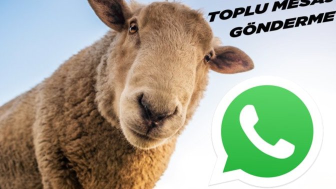 Toplu bayram mesajına cevap vermemek kabalık mıdır?
