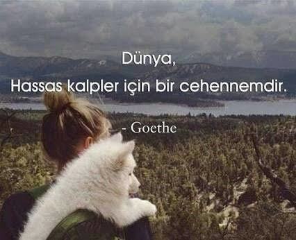 Kalbiniz hassas mı yoksa taş mı?