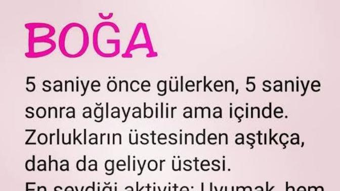 Ne kadar boğa burcusun?