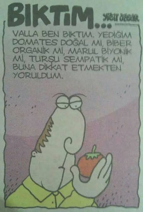 Bıktım artık dediğiniz şeyler nedir?