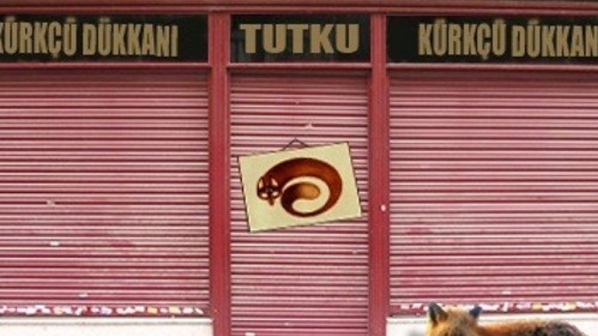 Ayrıldıktan sonra ne yaptınız?