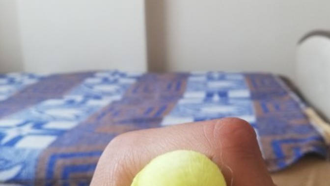 Muhabbet kuşum yumurtladi?