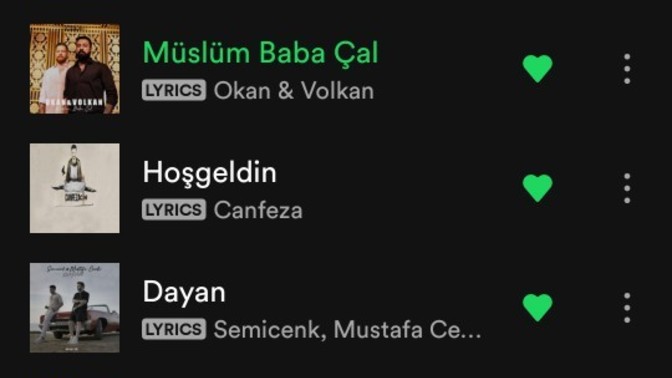 Müzik zevkim çok mu keko?