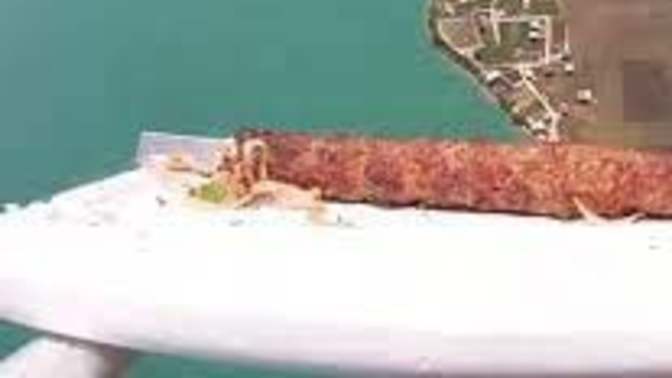 Adana'da bir kebapçı, helyum balonu ile uzaya kebap göndermeyi denedi. Sizin memleketinizde böyle renkli denemeler var mı 😀?