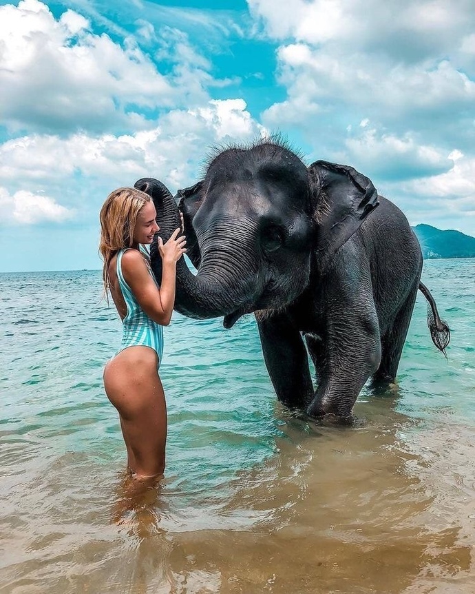 Bikininiz/Deniz şortunuz ne renk?