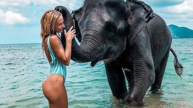 Bikininiz/Deniz şortunuz ne renk?