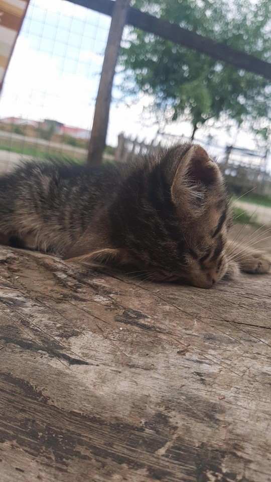 Nasıl uyuyorsunuz? Uyku ile aranız nasıl?