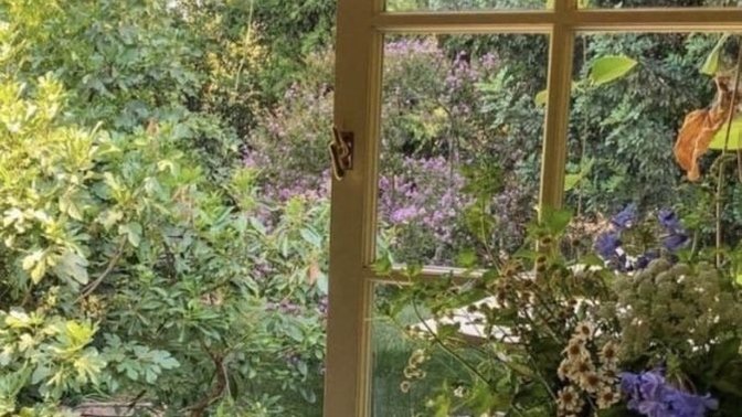 Doğa hayatı sizlik mi?