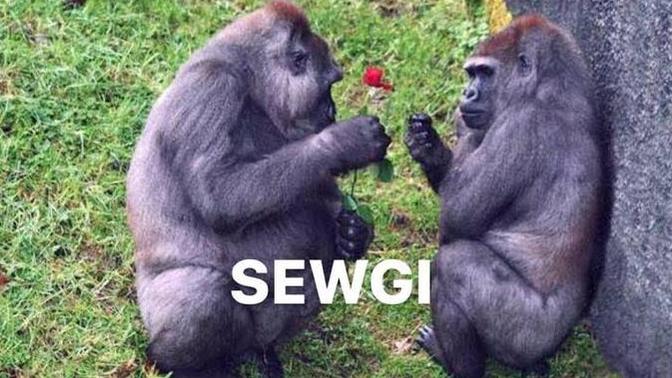 Şu anda hayatında en sevdiğin şey ne?