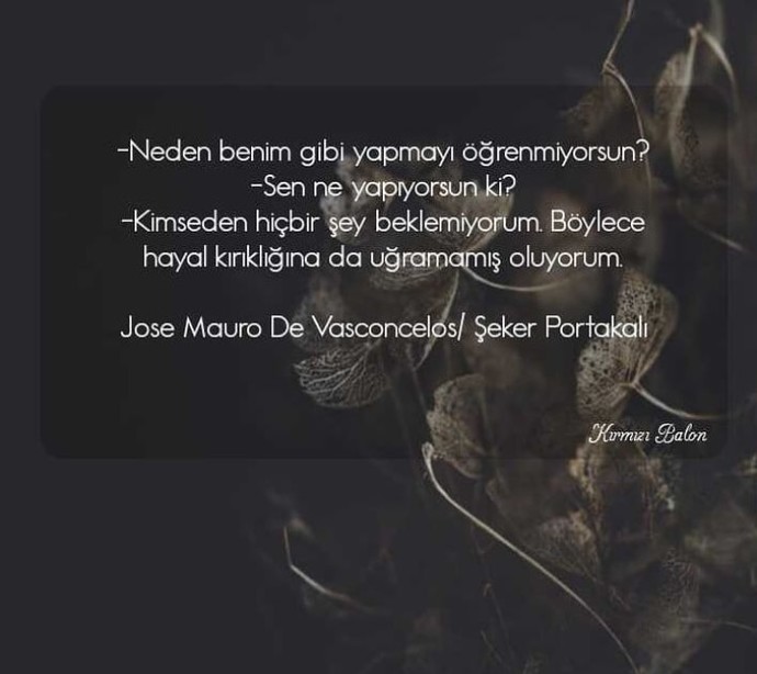 Aklınızın almadığı neler var?