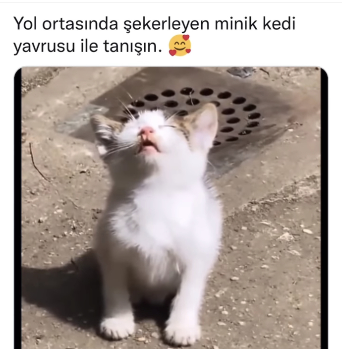 Sen her yerde uyuyabiliyor musun 😃?