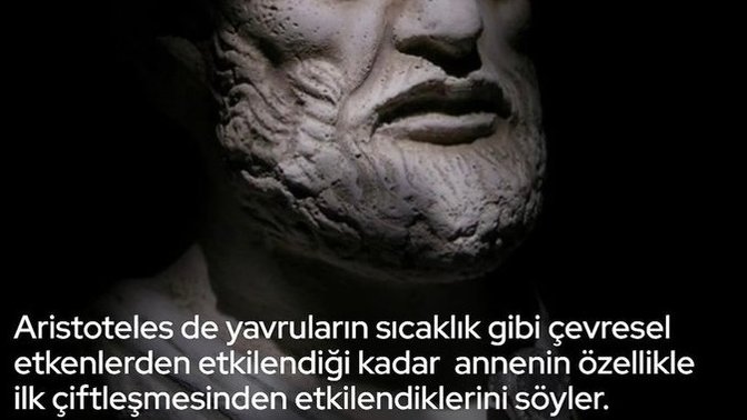Kadınların önceki partnerleri de önem taşıyor mu sizce?