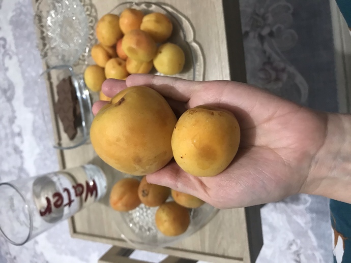 Meyvelerin görsellik ve boyutuna mı yoksa lezzetine mi bakarsınız?