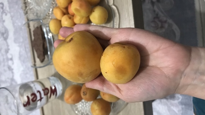 Meyvelerin görsellik ve boyutuna mı yoksa lezzetine mi bakarsınız?