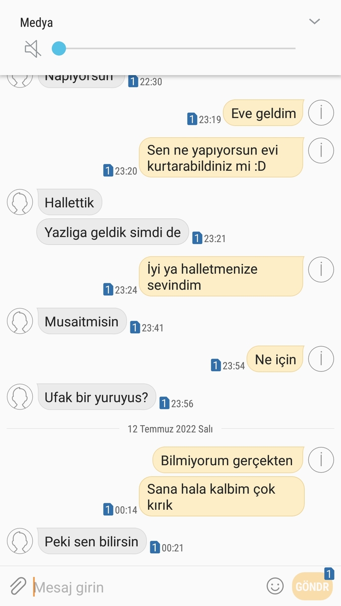 1 yGörselini en iyi ifade eden kısa notunu buraya