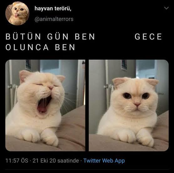 Püsük
