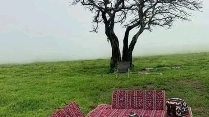 İyi bir piknik sofrasında mutlaka yer alması gerekenler nedir?