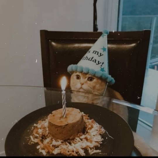 Doğum günü kutlamalarını sever misiniz?