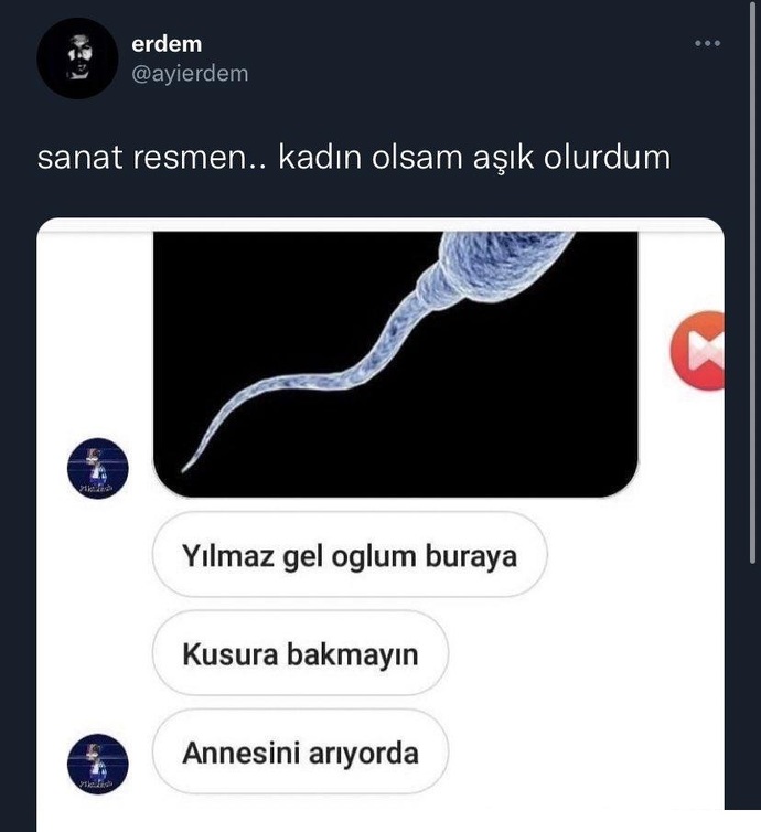 Bir kadına çocuklarımın anası olur musun diye teklif edince kabul etme olasılığı nedir?