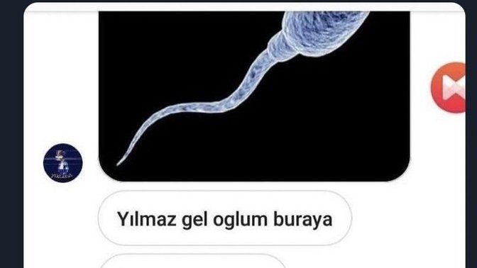 Bir kadına "çocuklarımın anası olur musun" diye teklif edince kabul etme olasılığı nedir?