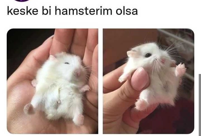 Keşke bir neyiniz olsa?
