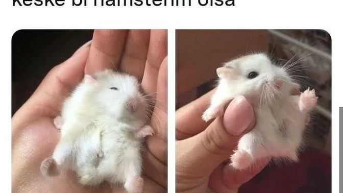 Keşke bir neyiniz olsa?