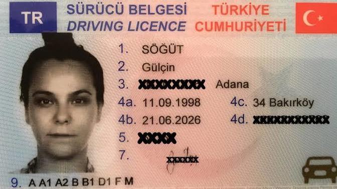 Amerika'da ehliyet alan var mı?