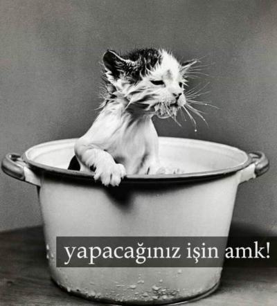 Açık 