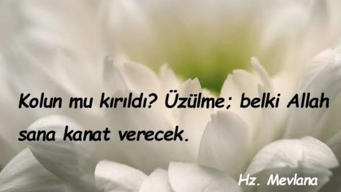 Kendi kendinizi teselli eder misiniz. Kendinizi teselli etme konusunda uzmanlaştınız mı?