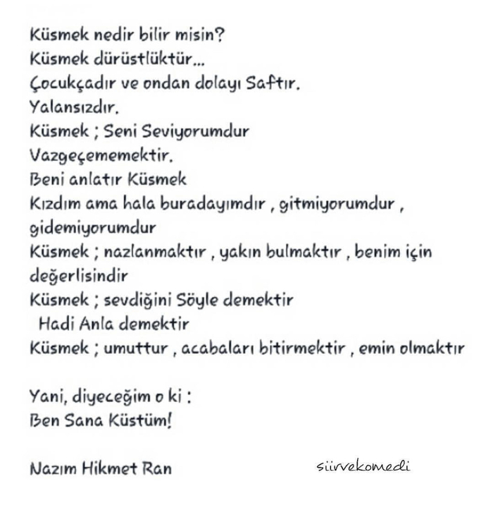 Sevdiğinizi tarif edecek olsanız, hangi benzetmeyi yapardınız?