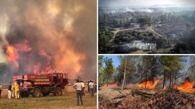 Orman yangınları için ne diyorsunuz?