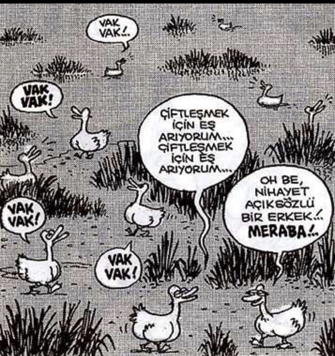 Bir erkek neden ilk buluşmada seks ister?