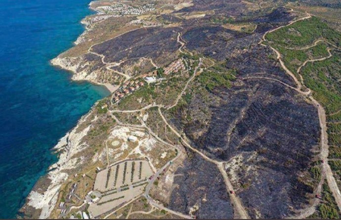 Datça ve Çeşme'yi yine yaktılar! Kaza olduğuna inanan var mı yoksa yeni bir otel mi geliyordur?