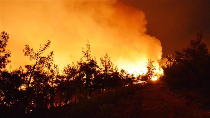 İzmir Bergama-Dikili yolu arasında yangın çıktı, yollar kapandı! Ne zaman son bulacak bu yangınlar?