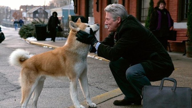 Hachi filminde ağlamadım diyen yalan mı söylüyordur? Siz izlediniz mi?